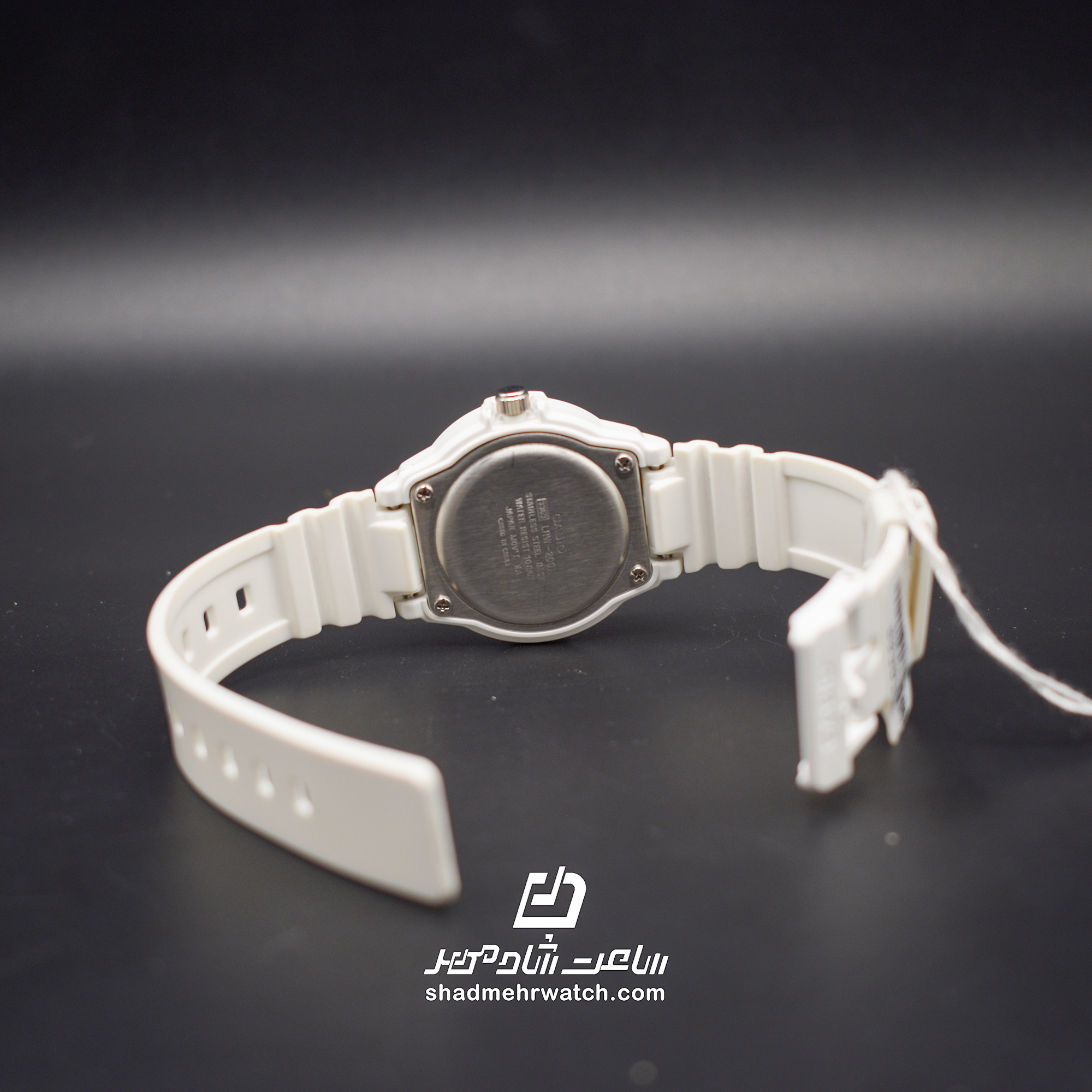 ساعت مچی کاسیو (Casio) مدل LRW-200H-2CV — تصویر ۴