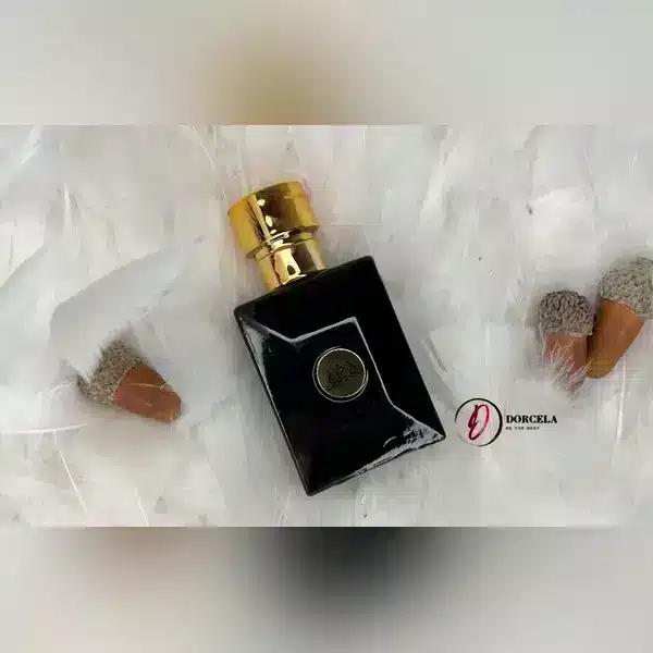 ادکلن مردانه ورساچه دیلان بلو وکینگ 25 میل
