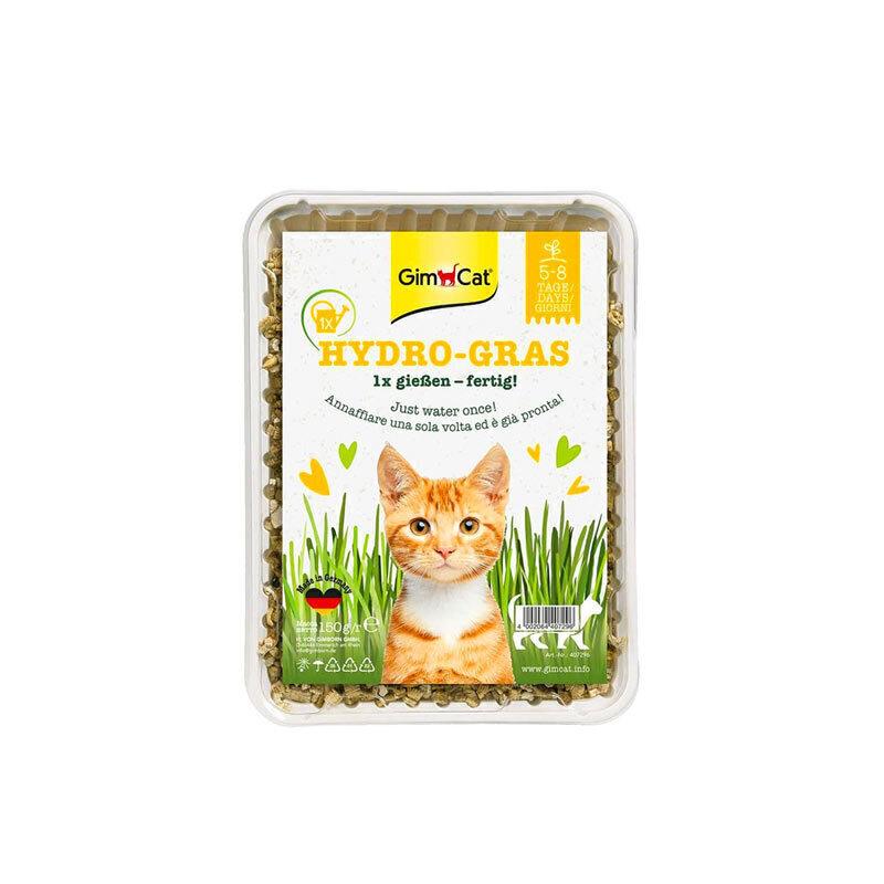 بذر علف گربه جیم کت مدل Katzen Grass وزن 150 گرم