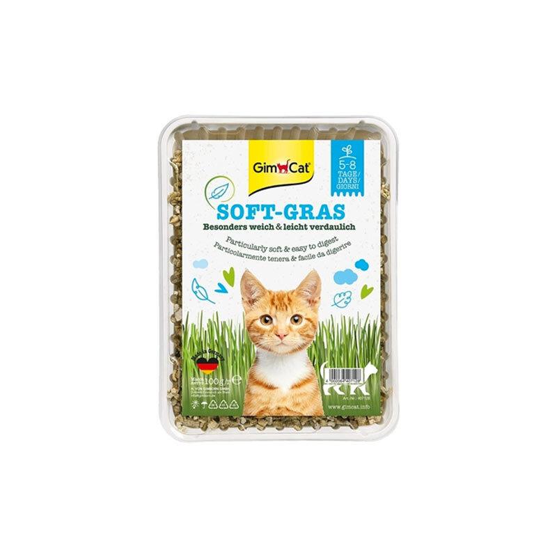 بذر علف گربه جیم کت مدل Soft Grass وزن 100 گرم