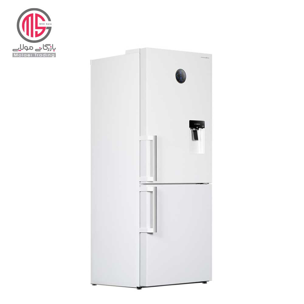 یخچال فریزر 19 فوت کمبی پاکشوما مدل (E2)RCP 495 — تصویر ۳