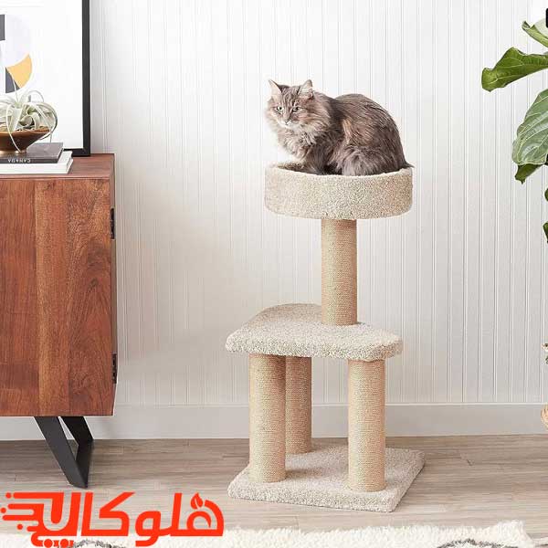 اسکرچر گربه MeowNa مدل گلد