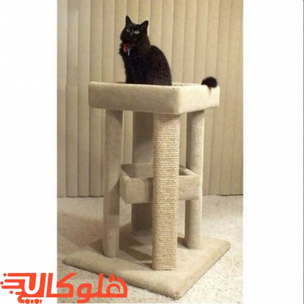 اسکرچر گربه MeowNa مدل باختر
