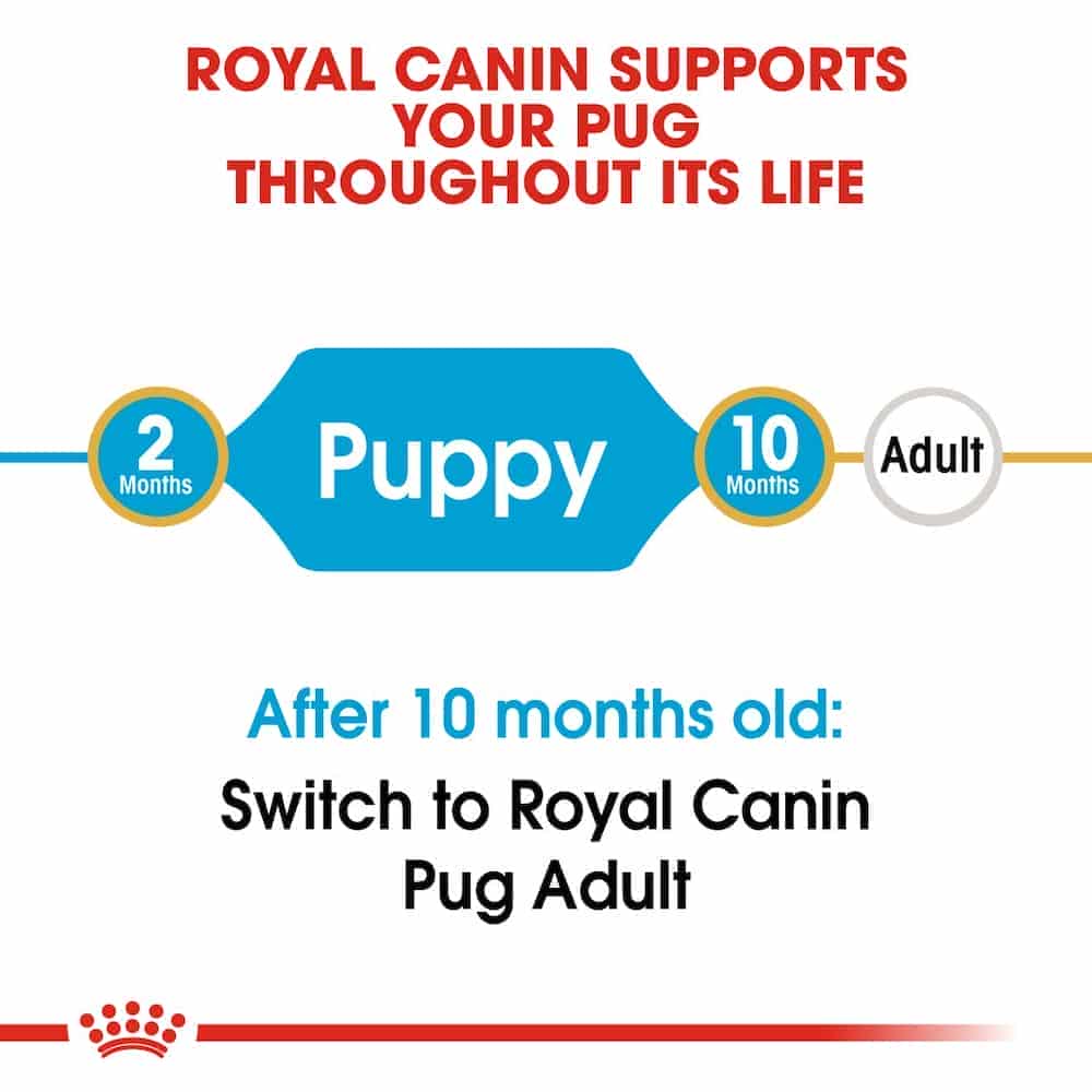 غذای خشک توله سگ رویال کنین مدلPug Puppy نژاد پاگ | 1.5 کیلوگرم — تصویر ۵