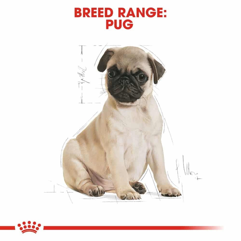 غذای خشک توله سگ رویال کنین مدلPug Puppy نژاد پاگ | 1.5 کیلوگرم — تصویر ۸