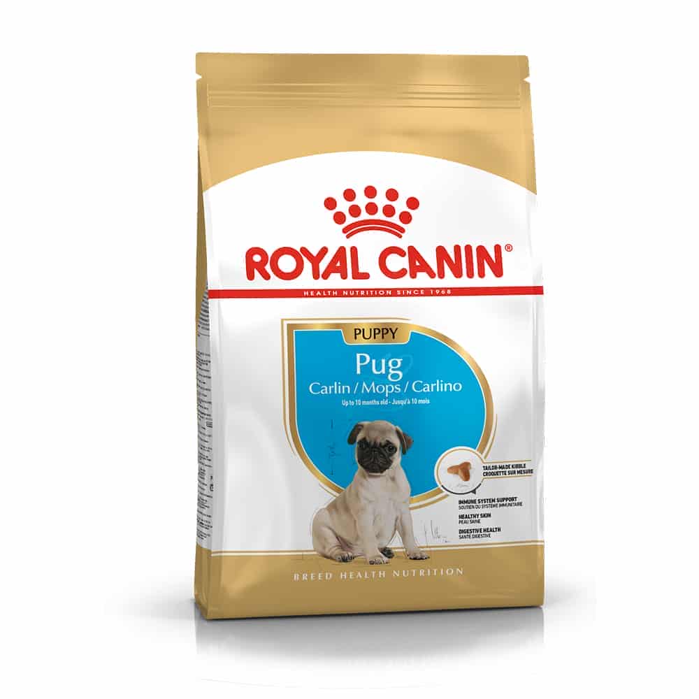 غذای خشک توله سگ رویال کنین مدلPug Puppy نژاد پاگ | 1.5 کیلوگرم