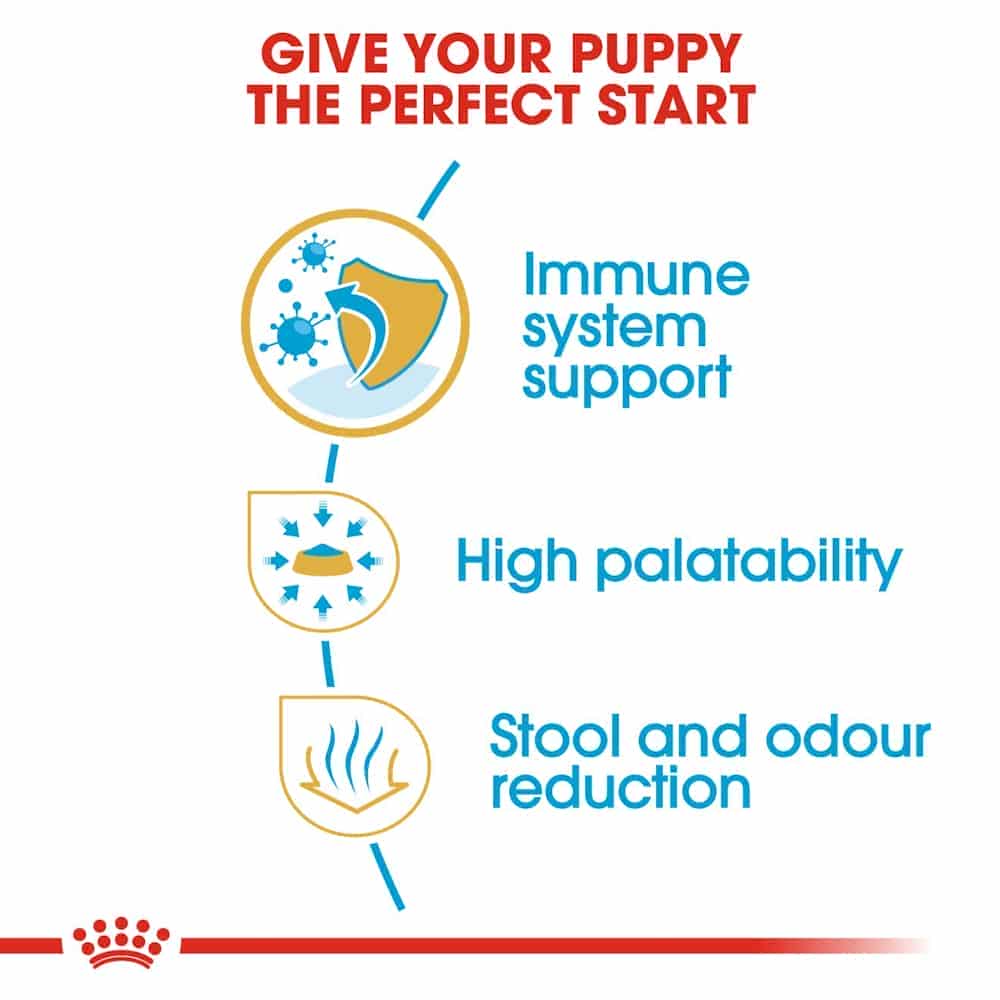 غذای خشک توله سگ رویال کنین مدل Chihuahua Puppy نژاد شیواوا — تصویر ۷