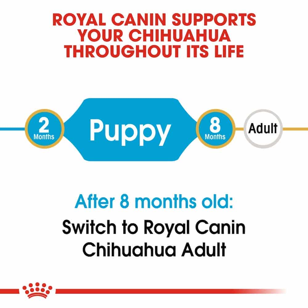 غذای خشک توله سگ رویال کنین مدل Chihuahua Puppy نژاد شیواوا — تصویر ۵