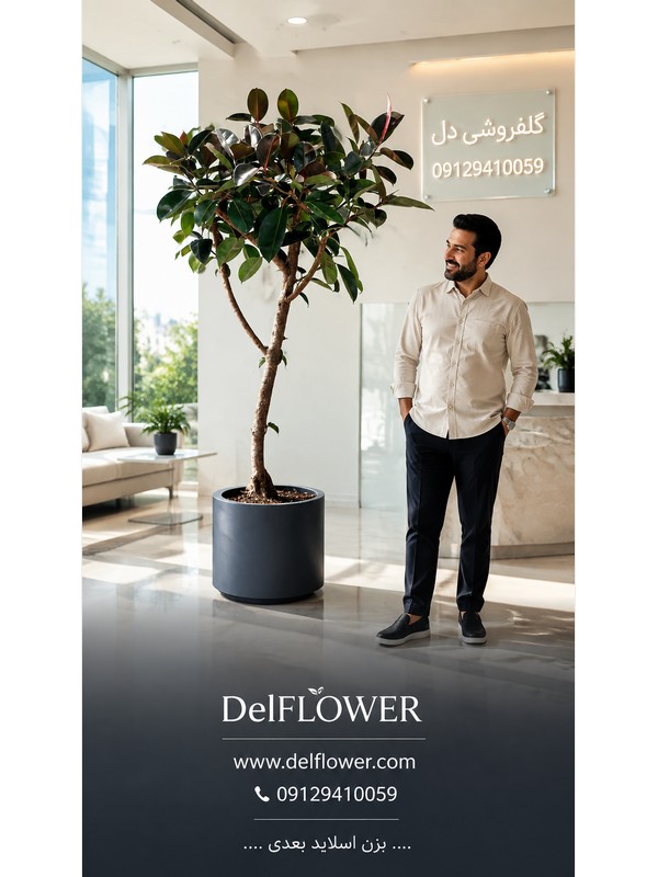 سفارش آنلاین دسته 84A863