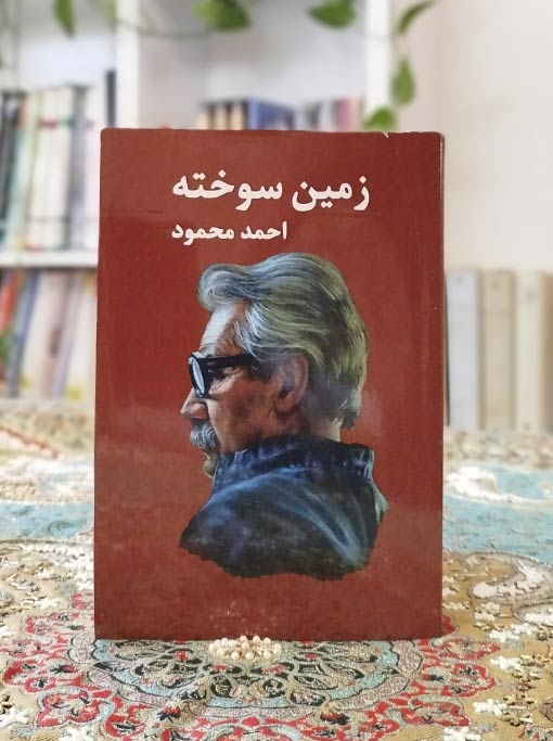 زمین سوخته — تصویر ۶