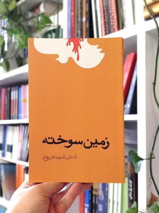 زمین سوخته — تصویر ۲