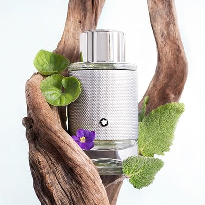ادکلن مونت بلانک اکسپلورر پلاتینیوم (نقره ایی) اصل | Montblanc Explorer Platinum 100ml — تصویر ۲