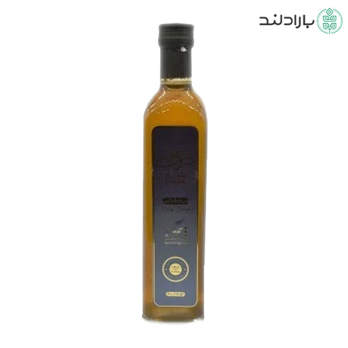 سرکه انگبین عسلی (سکنجبین) ۶۰۰ گرمی هاکان (دارای نشان ارگانیک ایران)