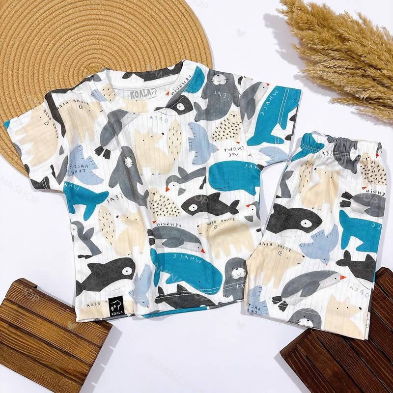 ست تیشرت شلوارک بچه گانه طرح حیوانات قطبی کوالا Koala — تصویر ۲