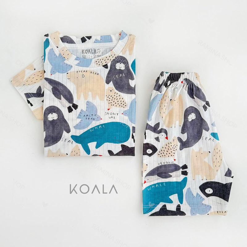 ست تیشرت شلوارک بچه گانه طرح حیوانات قطبی کوالا Koala — تصویر ۵