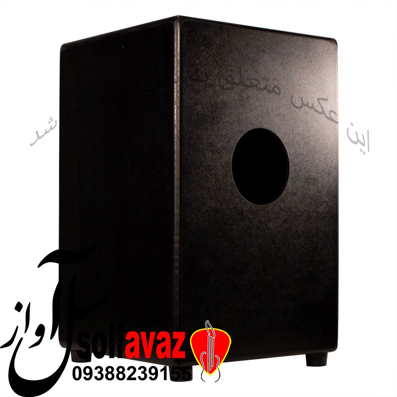 کاخن Remo طرح گیتار — تصویر ۵