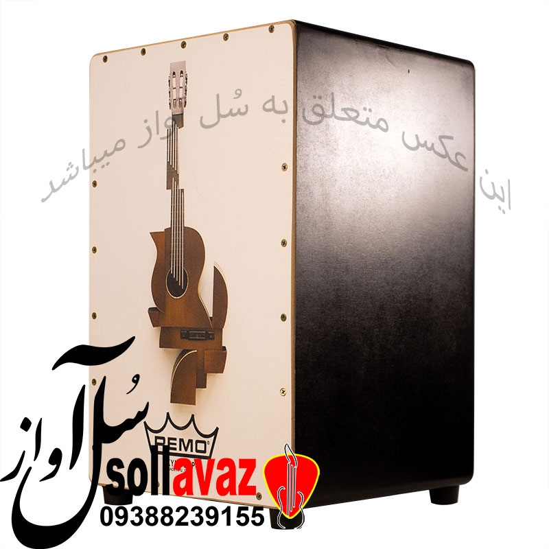 کاخن Remo طرح گیتار — تصویر ۳