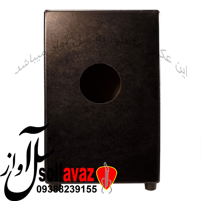 کاخن Remo طرح گیتار — تصویر ۴