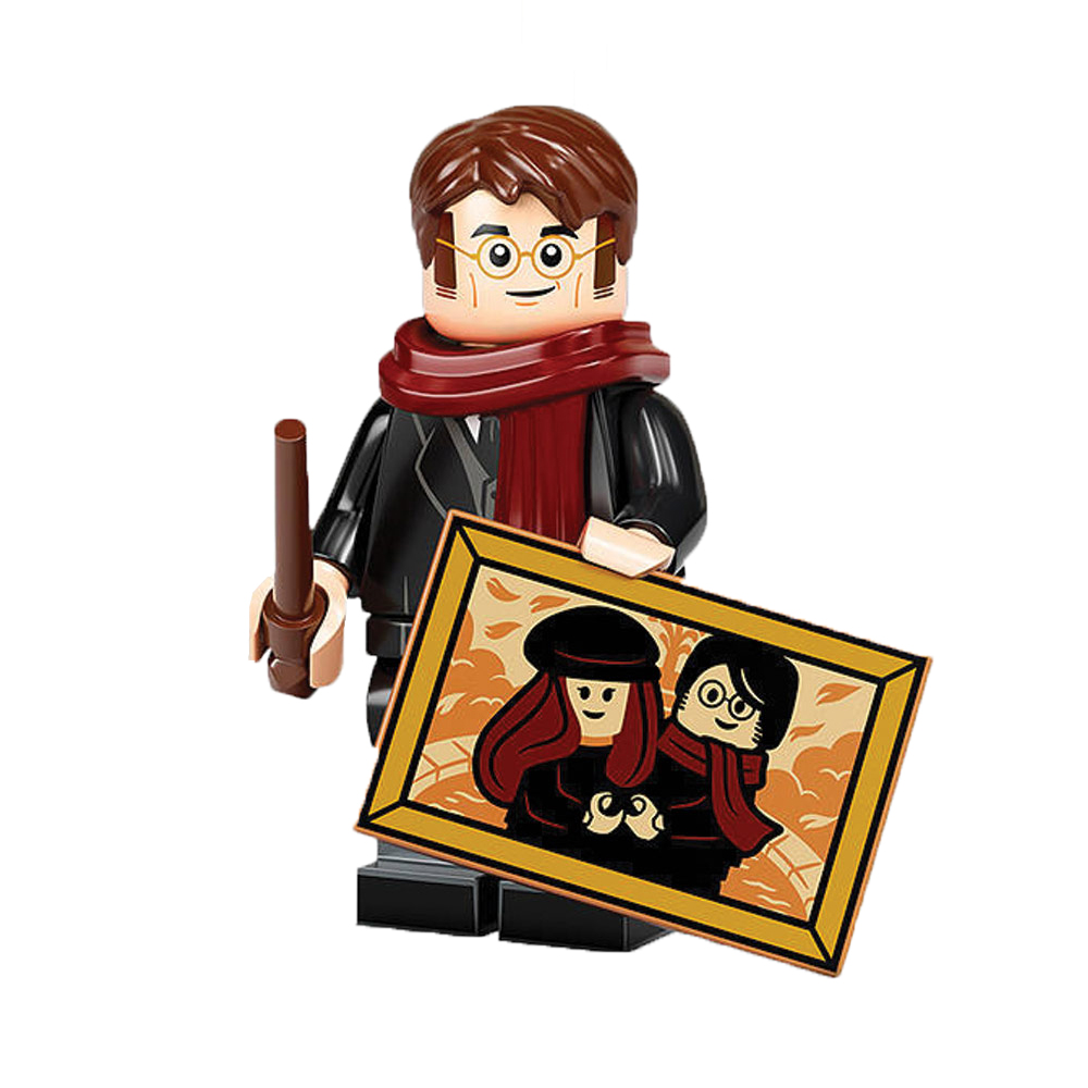 ساختنی آدمک فله مدل James Potter — تصویر ۲