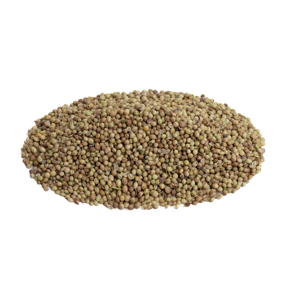 دانه گشنیز