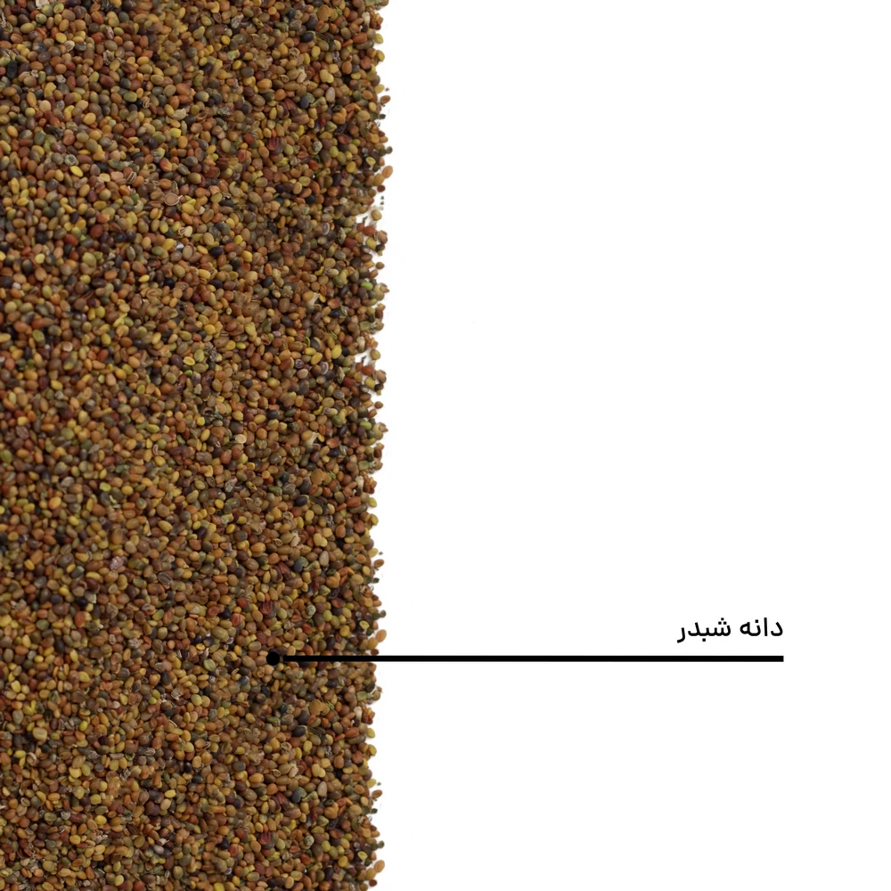 دانه شبدر — تصویر ۶