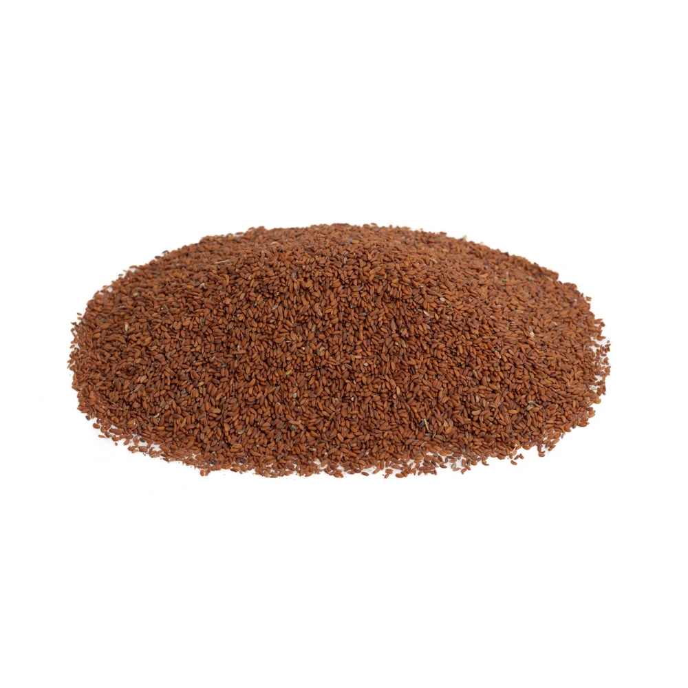 دانه شاهی