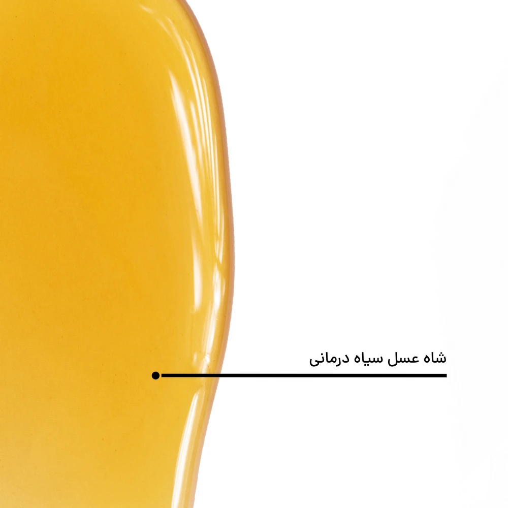 شاه عسل سیاه درمانی — تصویر ۷