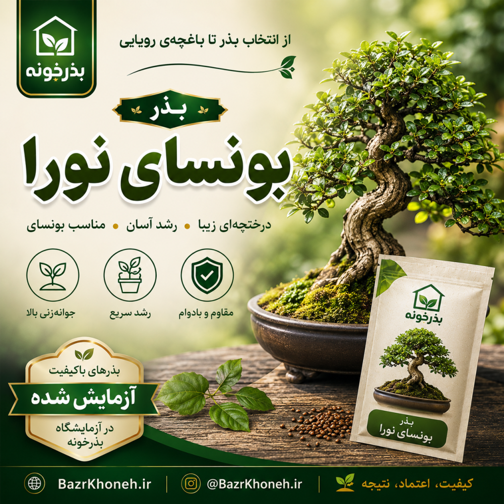 بذر کمیاب بونسای نورا — تصویر ۲