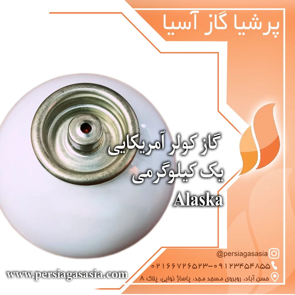 گاز کولر آمریکایی یک کیلویی r134a خودرو آلاسکا Alaska — تصویر ۸