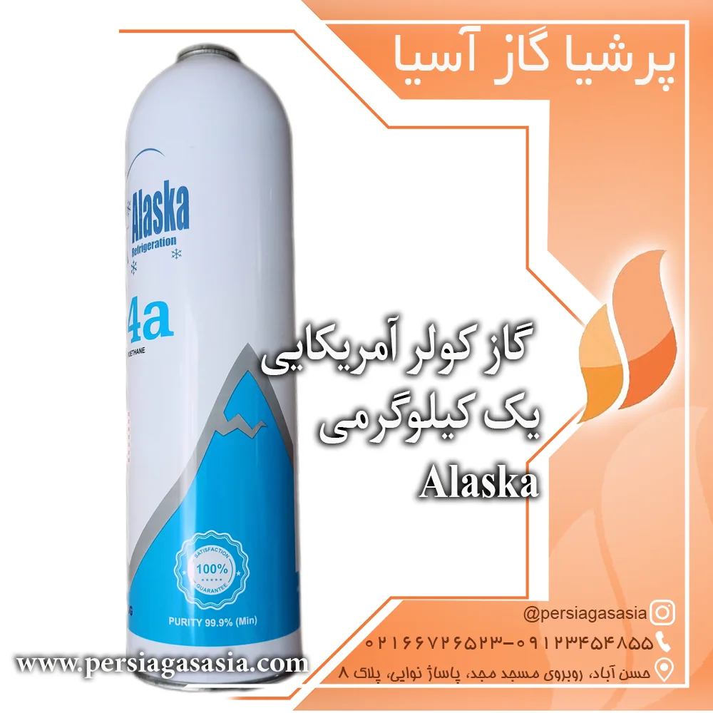 گاز کولر آمریکایی یک کیلویی r134a خودرو آلاسکا Alaska — تصویر ۵