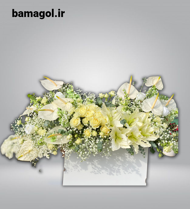 باکس گل خواستگاری آنتویوم لیلیوم سفید – کد 1146