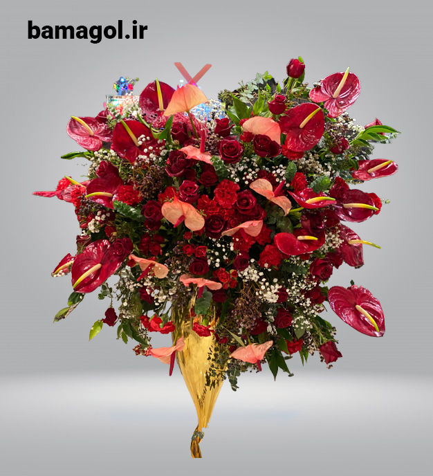 جارگل شماره 6