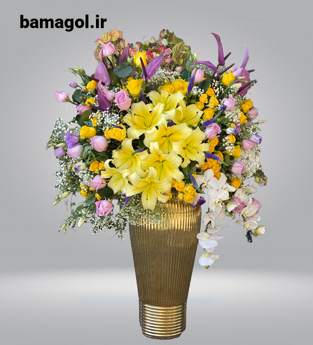 جارگل زرین
