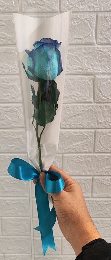 گیفت تک شاخه کاور دار رز آبی — تصویر ۳