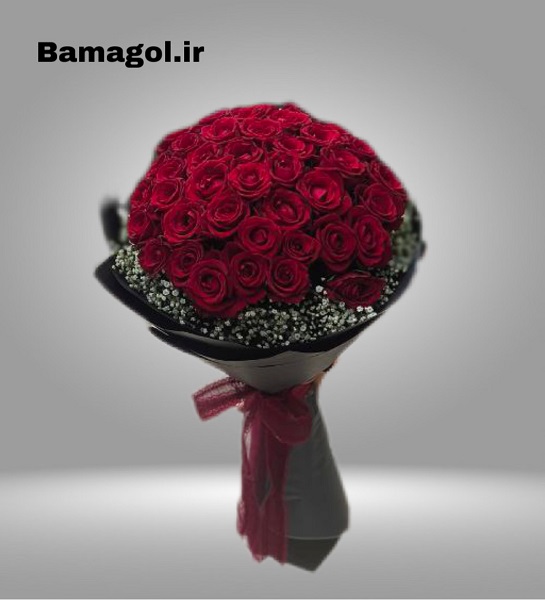 دسته گل رز کلاس بی 50 شاخه دورچین ژیپسوفیلیا کد 0059