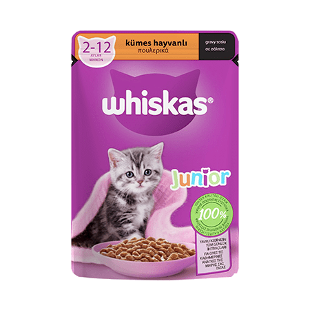 پوچ بچه گربه ویسکاس طیور در سس 85 گرم ا Whiskas junior With Chicken 85g