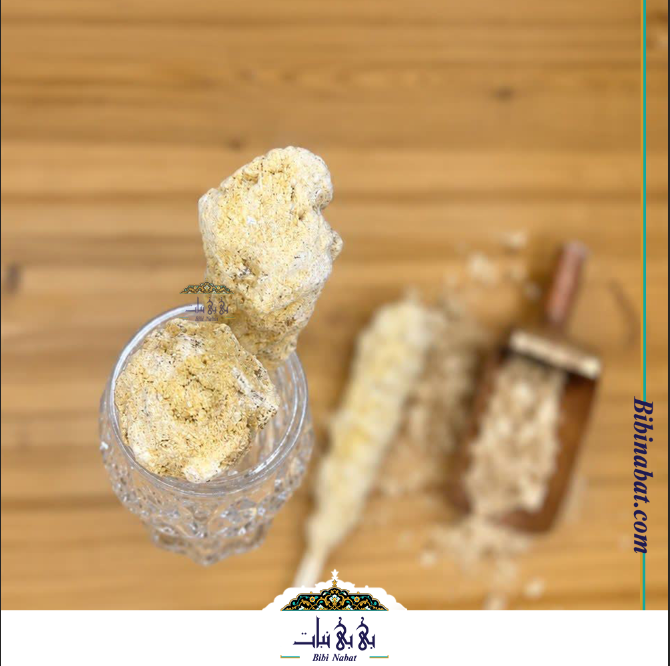 نبات چوبی زنجبیلی _ یک کیلویی — تصویر ۴