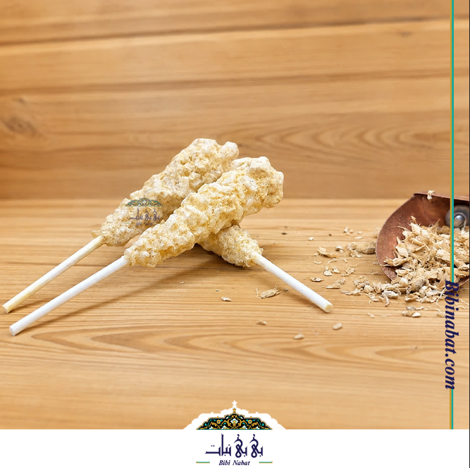 نبات چوبی زنجبیلی _ یک کیلویی — تصویر ۳