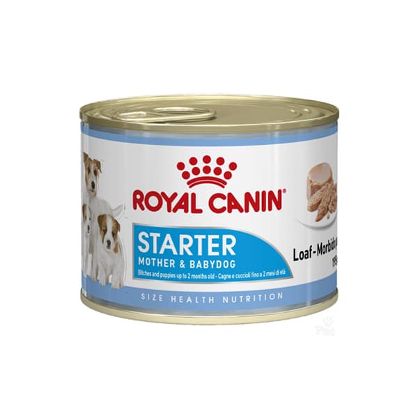 کنسرو استارتر سگ رویال کنین _ Royalcanin