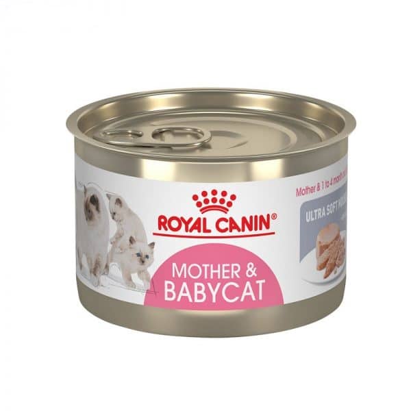 کنسرو مادر اند بیبی گربه رویال کنین _ Royal Canin Mother Babycat