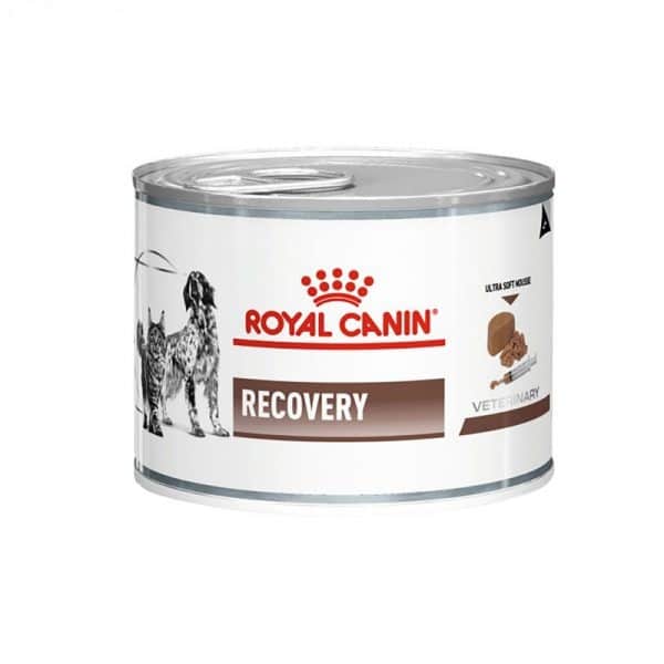 کنسرو ریکاوری رویال کنین سگ و گربه _ RoyalCanin Recovery Cat &amp; Dog
