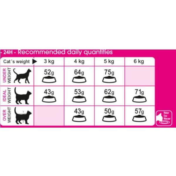 رویال کنین اگزیجنت پروتئین گربه – royal canin exigent — تصویر ۴