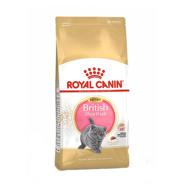 غذای گربه بریتیش کیتن (بچه گربه شورت هیر) – RoyalCanin British shorthair