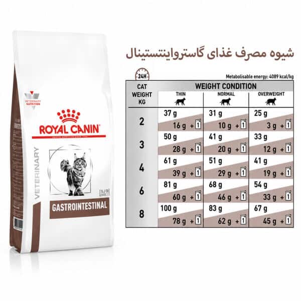 غذای گاسترو گربه رویال کنین – Gastrointestinal Royalcanin — تصویر ۳