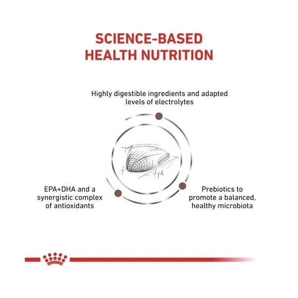 غذای گاسترو گربه رویال کنین – Gastrointestinal Royalcanin — تصویر ۶