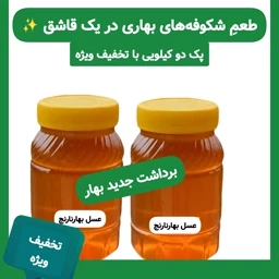عسل بهار نارنج (دو کیلویی با تخفیف ) ارسال رایگان — تصویر ۳