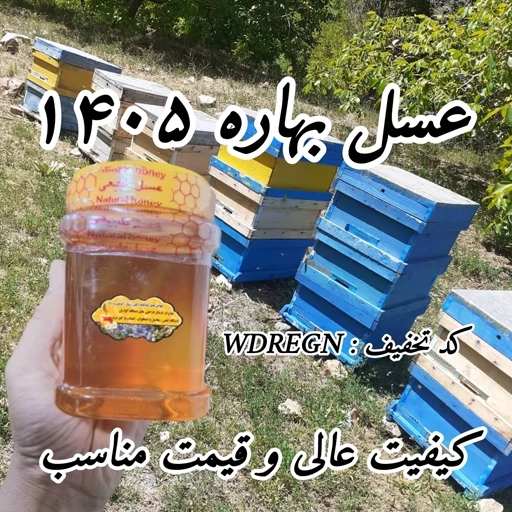 عسل بهاره شیراز 1 کیلو برداشت 1405 ساده و موم دار (خرید مستقیم از زنبوردار) ارسال رایگان با 2میلیون خرید از غرفه