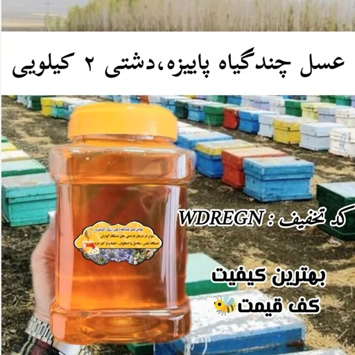 عسل چندگیاه پاییزه فریدن 2 کیلویی درجه یک.دشتی(خرید مستقیم از زنبوردار)ارسال رایگان با 2م خرید از غرفه