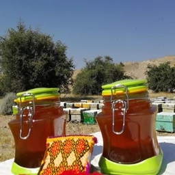 عسل تک گل کنار (سدر) 1 کیلویی خوزستان درجه یک - جنگلی (خرید مستقیم از زنبوردار ) ارسال رایگان با 2 میلیون خرید از غرفه — تصویر ۳