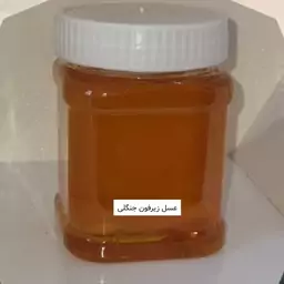 عسل زیرفون جنگلی نیم کیلویی خرید مستقیم از زنبوردار — تصویر ۳